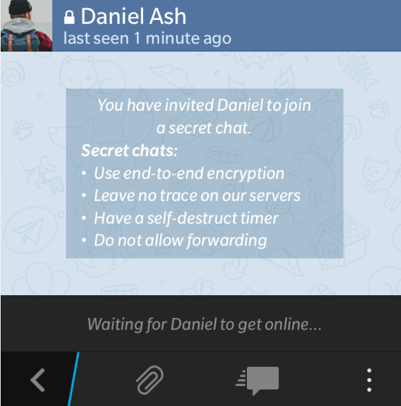 Secret Chats